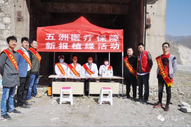 绿色青城“森”呼吸，新报五洲“林”距离