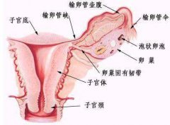 附件炎的治疗方法有哪些