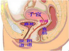 阴道炎的检查和治疗