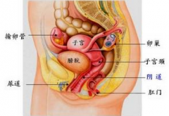 阴道炎的危害有哪些